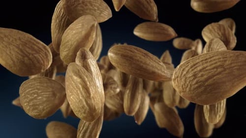 Realistic Almonds Falling Dynamic Food Animation