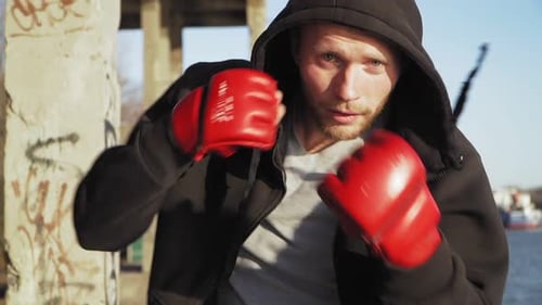 Hooded Boxer Training Outdoors on Sunny Day