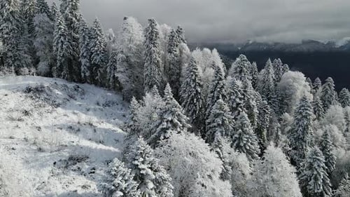 Luftaufnahme einer wunderschönen Winterlandschaft mit verschneitem grünem Nadelwald