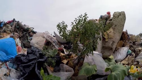 Overfilled Landfill with Plastic and Trash on Overcast Day