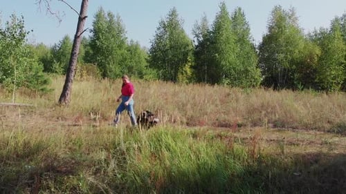 Young Woman and Her Cute Well Trained Dog Walking Together in the Edge of the Forest Aerial View