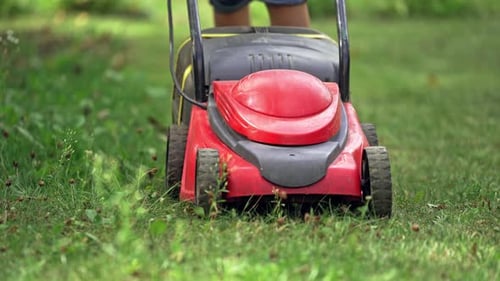 Mann mäht Gras mit Rasenmäher. Nahaufnahme des Rasenmähers im Garten