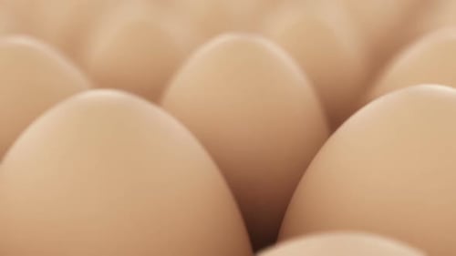Seamless Animated Loop of Brown Eggs Gently Bobbing