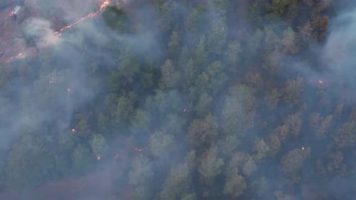 Aerial View Jungle Fire