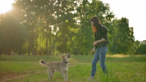 Woman Playing Fetch With Dog in Sunny Park
