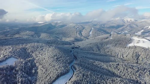 Aerial View on The Road and Forest in The Winter Time