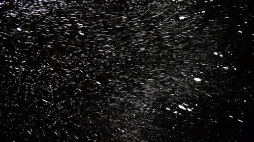 Abstract Sparkling Particles on Black Background