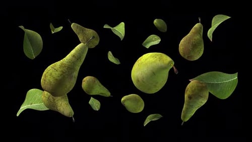 Realistic Pears and Green Leaves Floating Seamless Loop