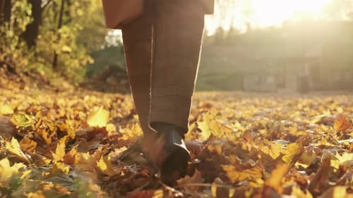 Young Woman in Casually Dressed and Holding a Backpack in Her Hand Walking in the Autumn Park and