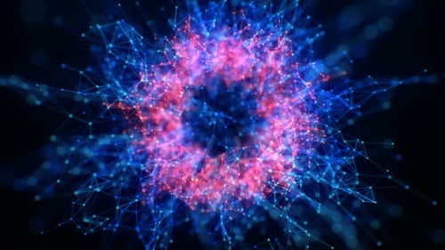 Bunter 4K Motion Plexus