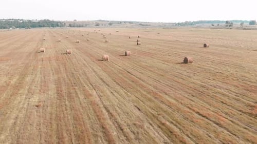 Golden Field with Hay Bales Aerial View