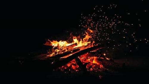 Burning Firewood with Fiery Sparks at Night