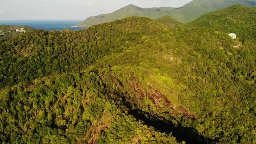 Fantastic Drone View of Green Jungle on Mountain Ridge