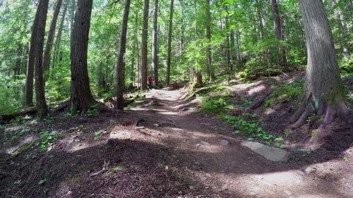 Woman riding unicycle in the forest