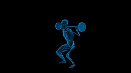 Futuristic X-Ray Skeleton Performing Barbell Squats Animation