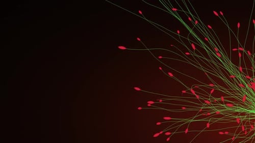 Growing And Spreading Green Vines With Red Leaves