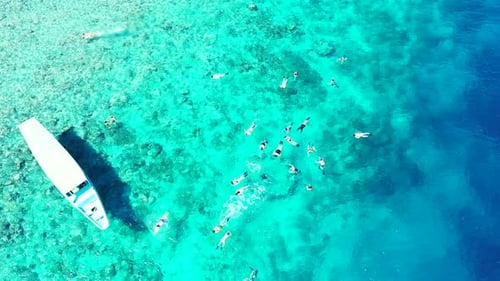 Large group of tourists jumped from boat into calm clear water of blue turquoise lagoon, snorkel and