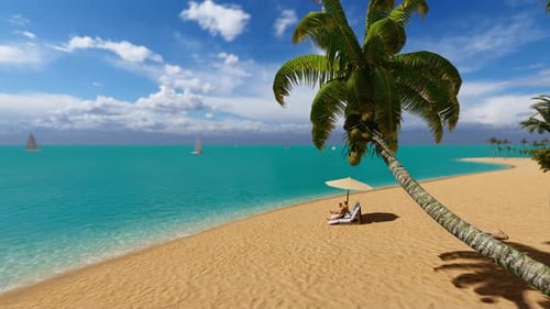 Palmiers et plage tropicale
