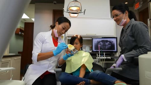 Female dentist explaining about teeth model 4k