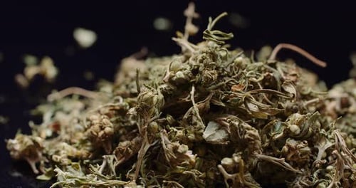 Close Up of Dried Organic Material on Black