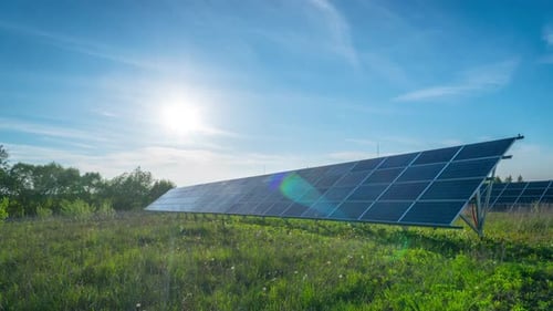 Solar Panels in Grassy Field on Sunny Day