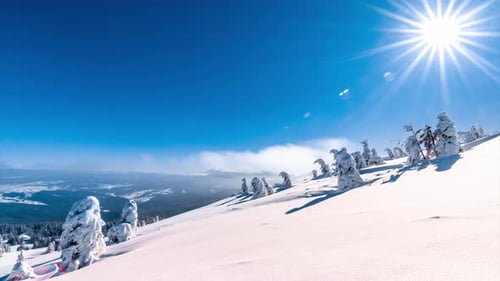 Wunderschöne Winterlandschaft mit schneebedeckten Bäumen