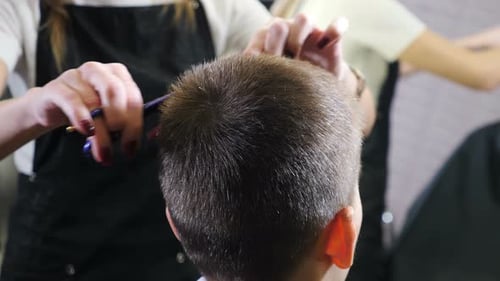Child Getting Haircut at a Beauty Salon