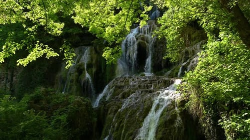 Video with a beautiful waterfall in green spring forest