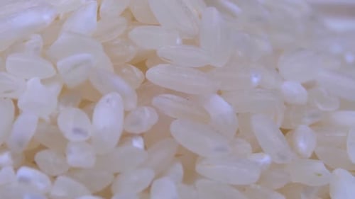 Grains of Raw Rice Rotate Close-up
