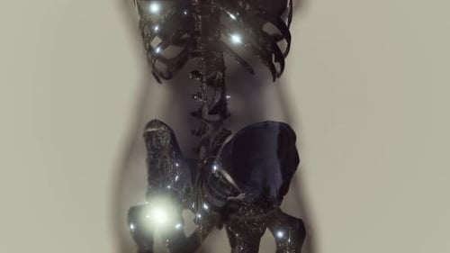 Huesos esqueléticos brillantes del ser humano