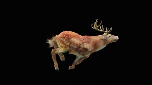 Deer Run HD