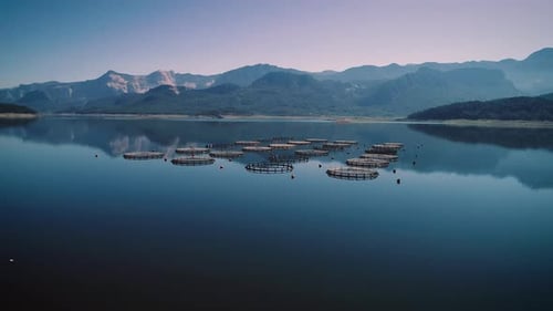 Aerial View of Fish Farm