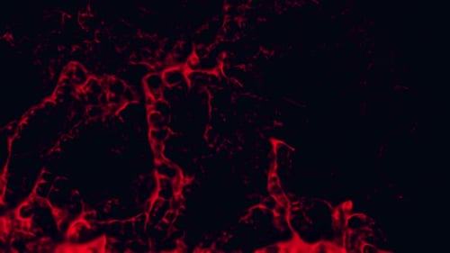 Abstract Red Fluid Particle Flow Seamless Loop Motion Background