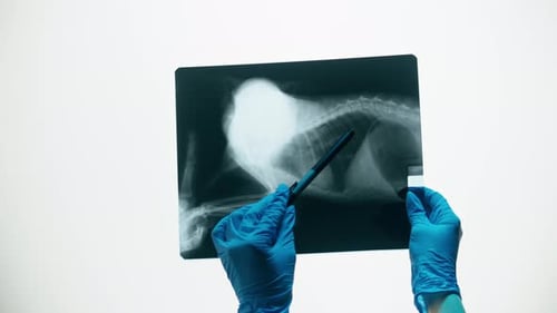 Medical Review: X-Ray Scan in Clinic Setting