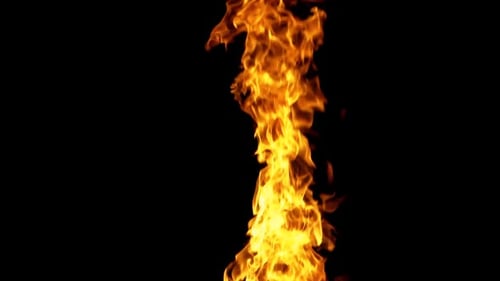 Burning Flames Dancing on Black Background