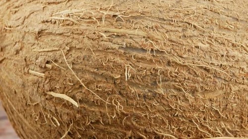 Extreme Close Up of a Brown Coconut