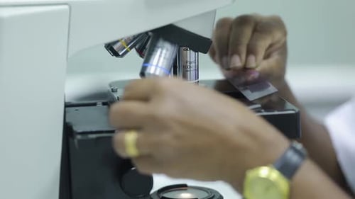 Microscope and hands adjusting a slide for research