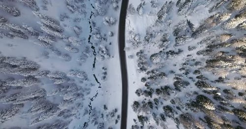 Forward Overhead Vertical Aerial Above Roadwoods Snowy Forest at Falzarego Pass