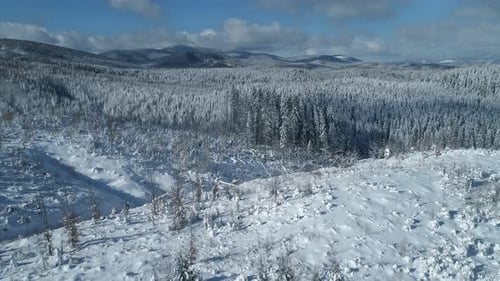 Snowy Winter Forest Aerial Landscape