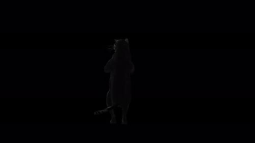 Animated Black Panther Standing on Hind Legs and Roaring
