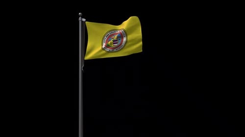 Honolulu City County Hawaii State Flag Waving Animation