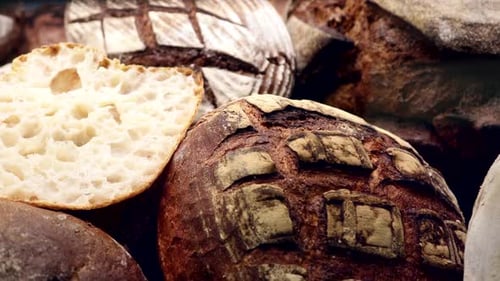 Many Different Types of Bread