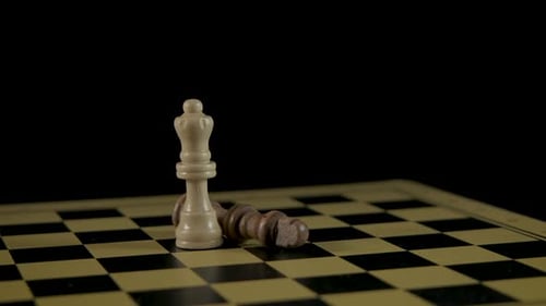People on catamarans on the city river.
