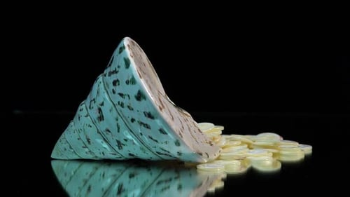 Sea Shell