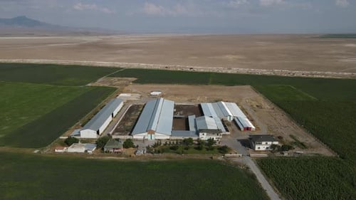 Plain Building Animal Farm Aerial Land
