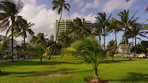 Building seen behind palm trees in Miami