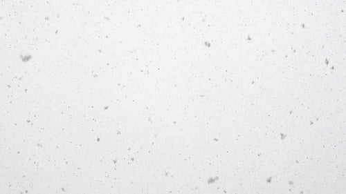 Falling Snow Gently Falls and Swirls on a Winter Day.