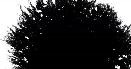 Abstract Black Ink Spreading on White Surface