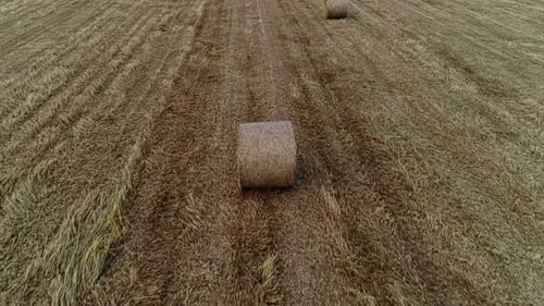 Fliege über Hay Bales on the Field
