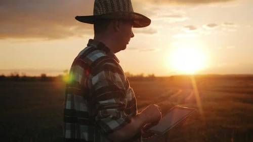 Farmer Using Tablet Device at Sunset in Field
